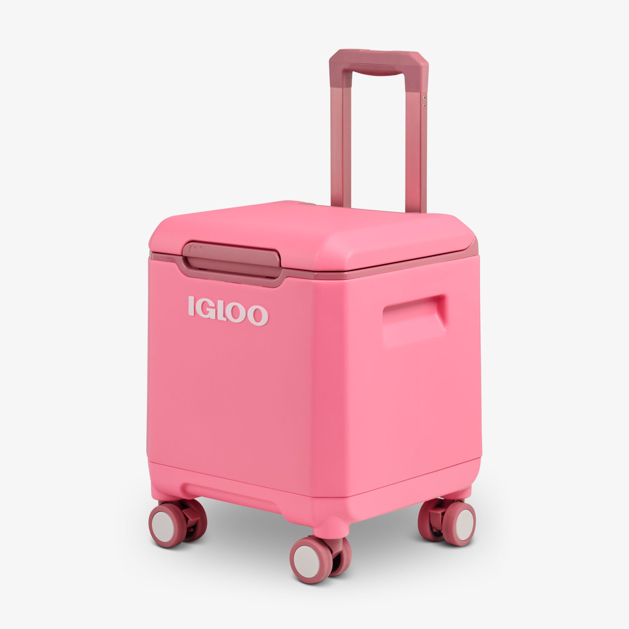 00033183-H3_660e9dc6-9c41-4d18-ba2c-31510fc26b37.jpg